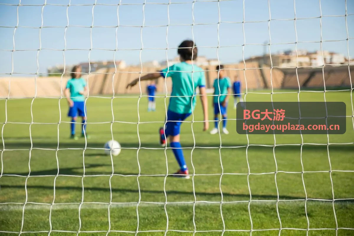 BG大游安全保障服务界面
